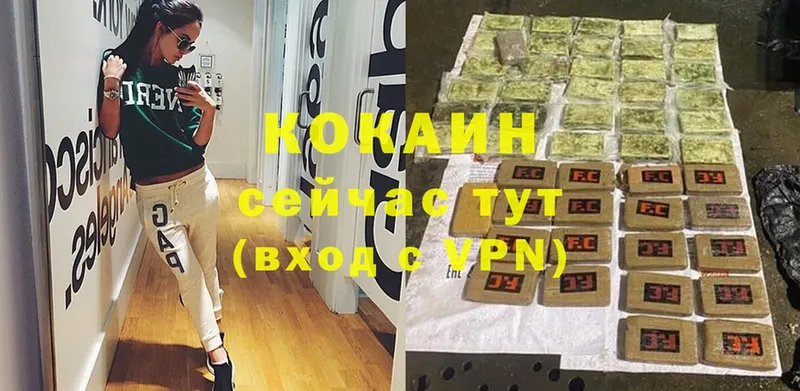 COCAIN Columbia  Кудымкар 